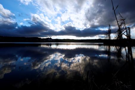 Moossee