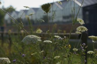 Biodiversität